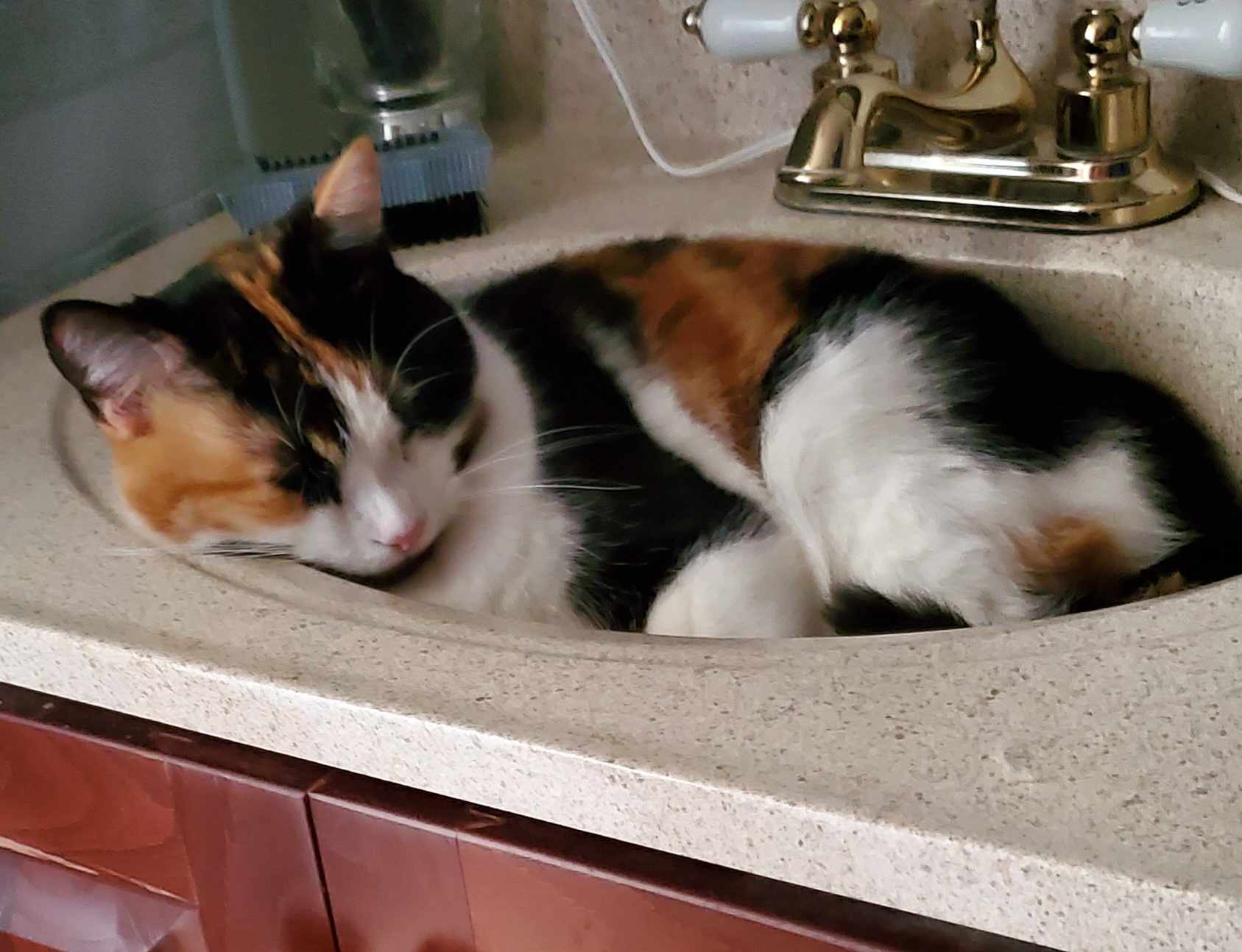 A photo of a calico cat sleeping in a bathroom sink